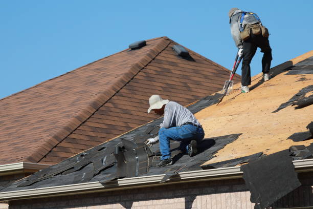 Best Storm Damage Roof Repair  in Maumelle, AR
