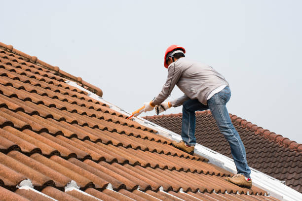 Best Wood Shake Roofing  in Maumelle, AR